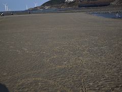 -长江澳风力发电景观区