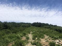 -北京鹫峰国家森林公园