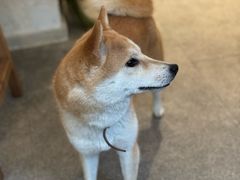 -三目仓咖啡(贤南路店)