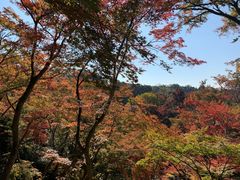 -有栖山 清光院 清水寺