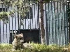 -秦皇岛野生动物园