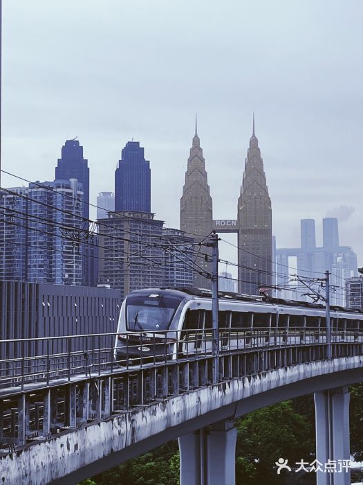 花市豌杂面(民生路店)图片