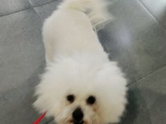 -牧马人宠物医院