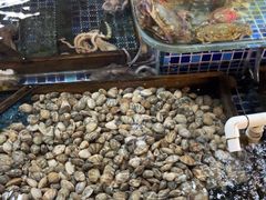 -天盛海鲜烧烤大排档·本地小海鲜·牟平腿穗子(幸福店)