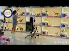 -lincat·猫舍(广州店)