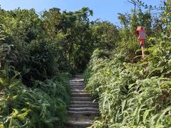 -马峦山郊野公园