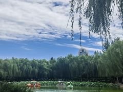 -团结湖公园