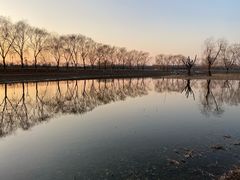 -大兴滨河森林公园