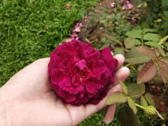 -人民公园(罗湖区)