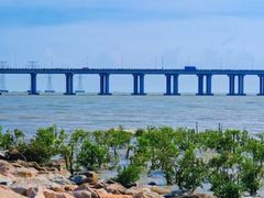 -宝安西湾红树林湿地公园