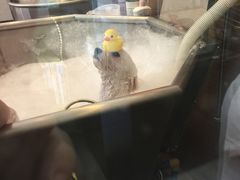 -PETKIT小佩宠物(古北店)