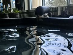 -青岛海泉湾度假区温泉
