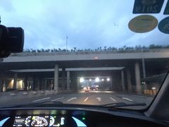 -潮K  party KTV(国色天香店)