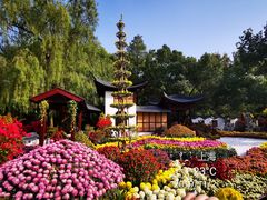 -上海共青森林公园