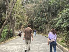 -中山市树木园