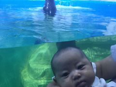 -多彩贵州城极地海洋世界