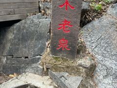 -九龙潭景区