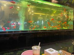-阳光院坝小龙虾(红牌楼店)