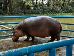 -广州长隆飞鸟乐园