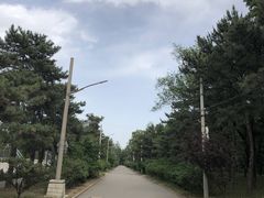 -北京大学(昌平校区)