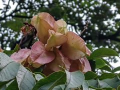 -汉长安城未央宫国家考古遗址公园