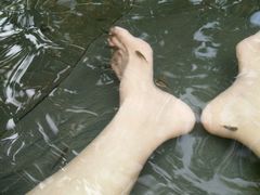-三亚珠江南田温泉度假区