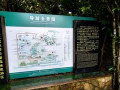 -三亚亚龙湾人间天堂鸟巢度假村