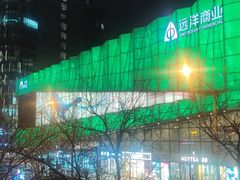 -远洋未来汇