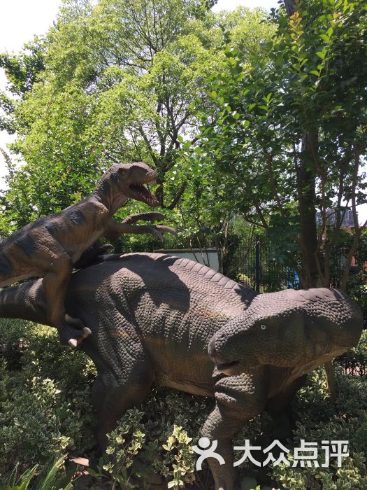 上海顾村恐龙园图片 - 第5张