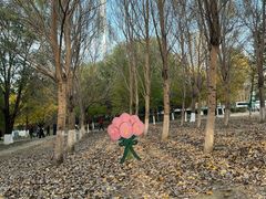 -长白岛森林公园