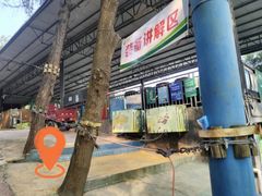 -芦仙山景区-飞越丛林探险乐园