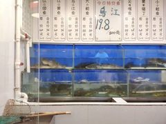 水产区-新凯里酸汤鱼(飞山街店)