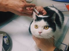 -爱诺耐芙动物医院(万博店)