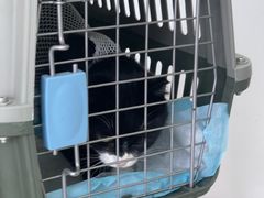 -艾吉宠物医院·疑难杂症转诊中心·猫友好(碧江路院)
