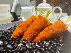 -丁老爷子苏香圆