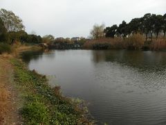 -新江湾城公园