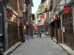 -南山植物园