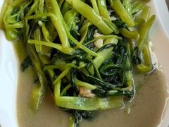 -红树林(美佳大厦店)