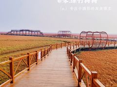 -红海滩国家风景廊道