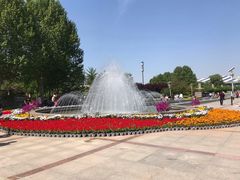 -石家庄市植物园