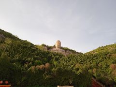 -蒙山大佛景区