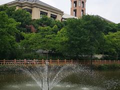 -新江湾城公园
