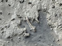 -北海金海湾红树林生态旅游区