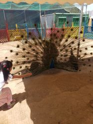 -萌宠亲子动物乐园(槐房万达店)