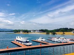 -洈水景区