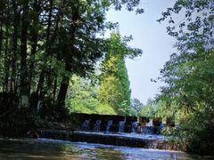 -桤木河湿地公园