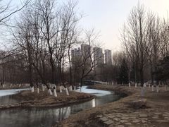 -长白岛森林公园