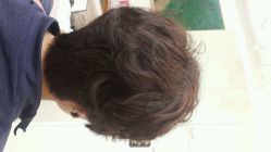 picture-璞玺形象