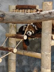 -Zoolung Zoolung动物主题公园(海信广场店)