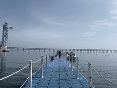 -日月昇渔家菜·海肠捞饭·大连海鲜(星海公园店)
